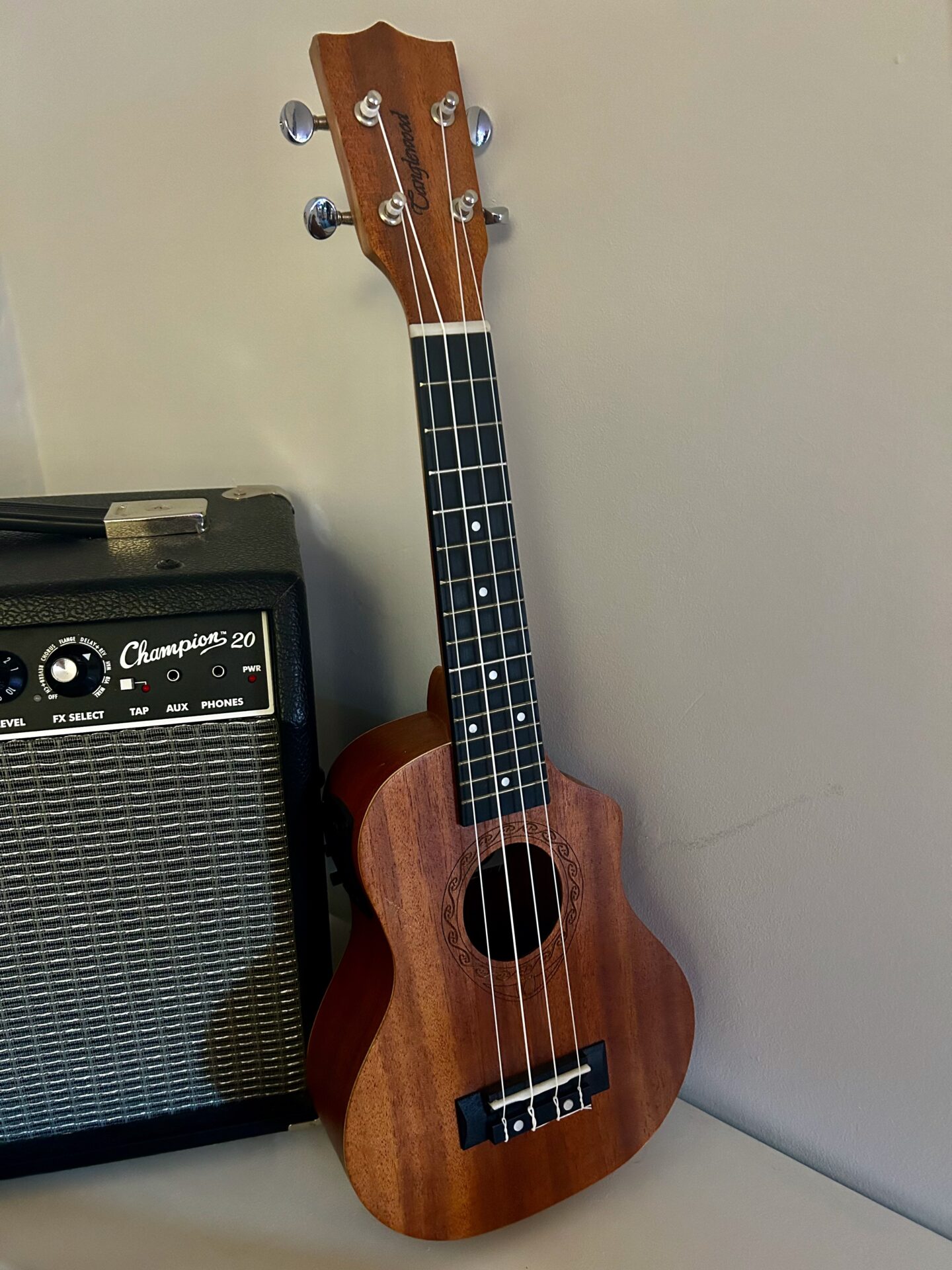 A ukulele positioned next to an amp for Ukulele Lessons.